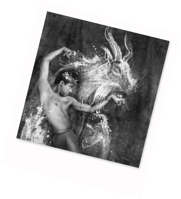 polaroidbilder-loveworriors3 copy